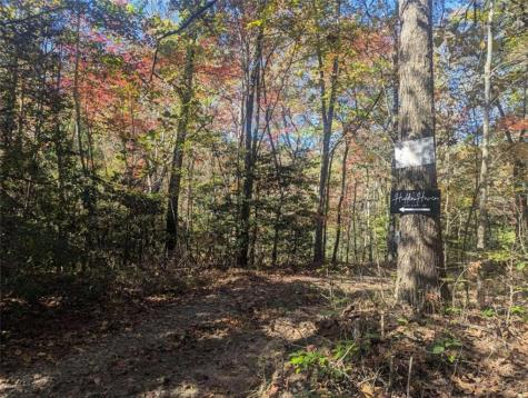 26.89 Shadow Lane Blue Ridge GA 30513