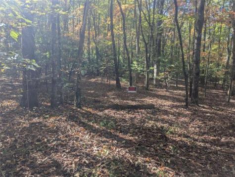 26.89 Shadow Lane Blue Ridge GA 30513