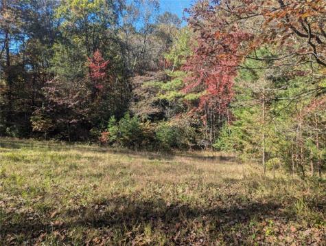 26.89 Shadow Lane Blue Ridge GA 30513
