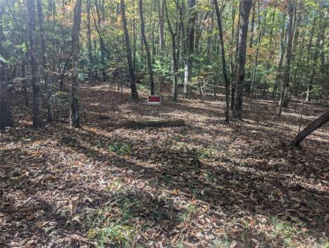 26.89 Shadow Lane Blue Ridge GA 30513