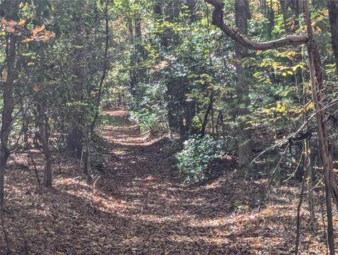 26.89 Shadow Lane Blue Ridge GA 30513