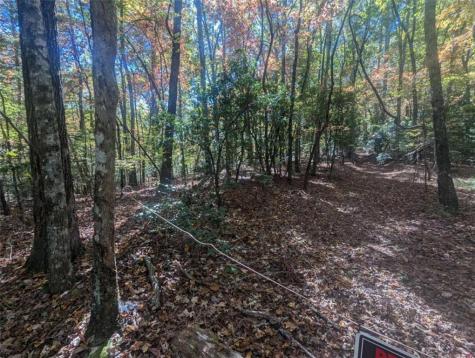 26.89 Shadow Lane Blue Ridge GA 30513