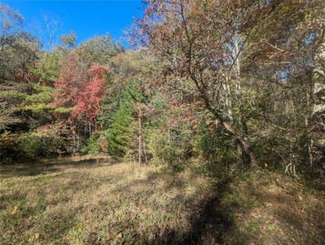 26.89 Shadow Lane Blue Ridge GA 30513