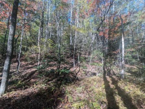 26.89 Shadow Lane Blue Ridge GA 30513