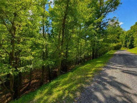 LT1012 Gateway Drive Ellijay GA 30540