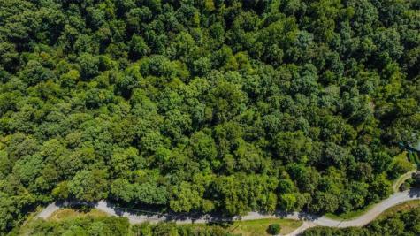 LT1012 Gateway Drive Ellijay GA 30540