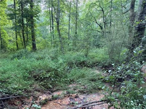 0 Highway 52 W Highway Dahlonega GA 30533