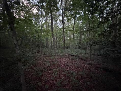 0 Highway 52 W Highway Dahlonega GA 30533