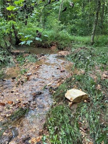 0 Highway 52 W Highway Dahlonega GA 30533