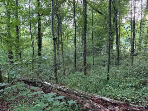 0 Highway 52 W Highway Dahlonega GA 30533