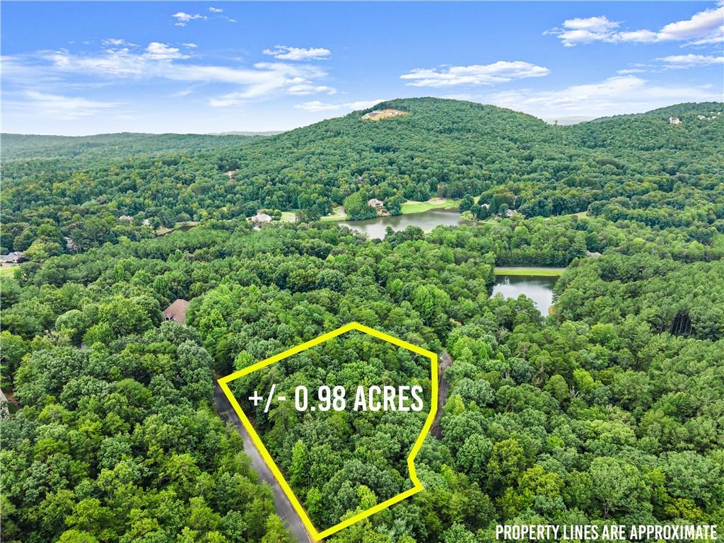 349 Golden Lane Clarkesville GA 30523