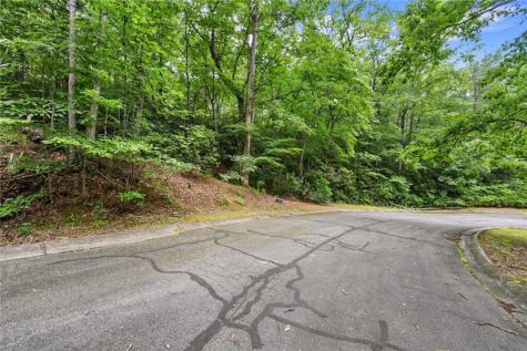 349 Golden Lane Clarkesville GA 30523