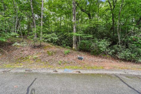 349 Golden Lane Clarkesville GA 30523