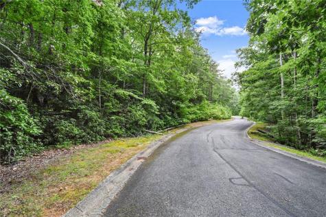 349 Golden Lane Clarkesville GA 30523