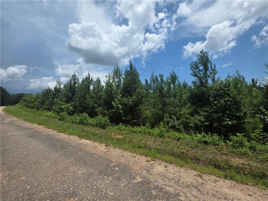 0 Wehunt Road Covington GA 30016