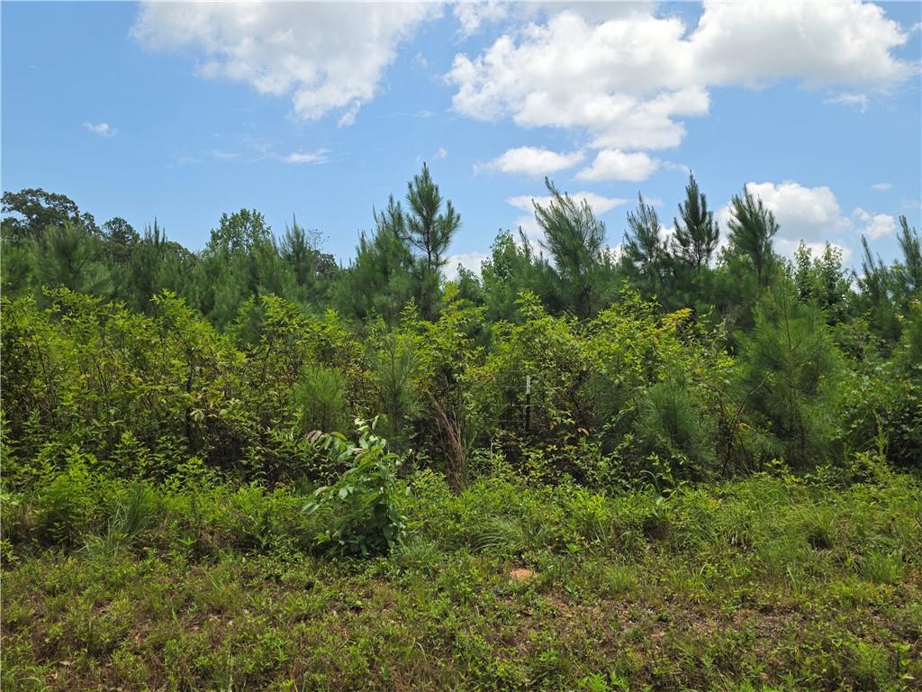 0 Wehunt Road Covington GA 30016