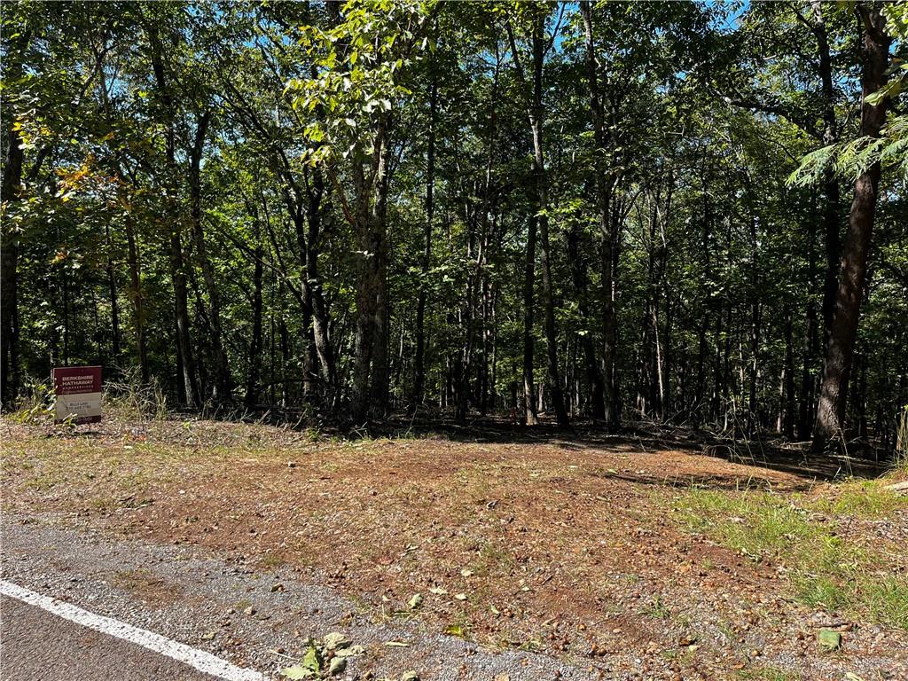 0 Firetower Road Jasper GA 30143