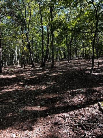 0 Firetower Road Jasper GA 30143