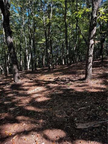 0 Firetower Road Jasper GA 30143