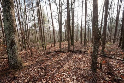 1 Amber Court Jasper GA 30143