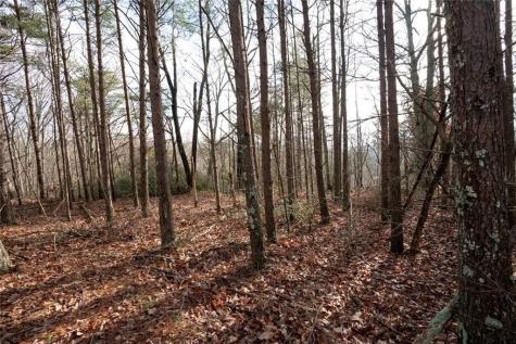 1 Amber Court Jasper GA 30143