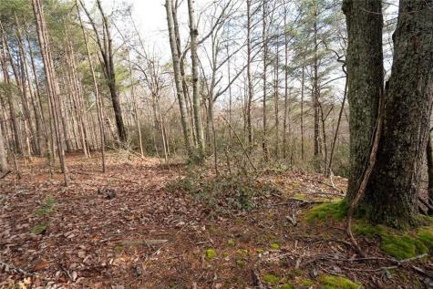 1 Amber Court Jasper GA 30143
