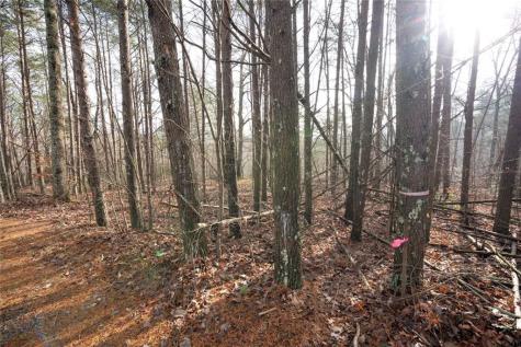 1 Amber Court Jasper GA 30143