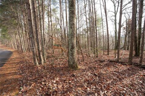 1 Amber Court Jasper GA 30143