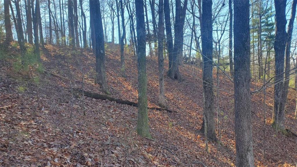 Lt 171 Doll Mountain Road Ellijay GA 30540