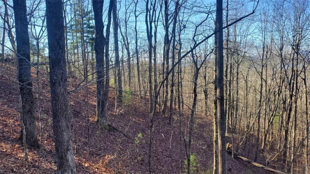 Lt 171 Doll Mountain Road Ellijay GA 30540