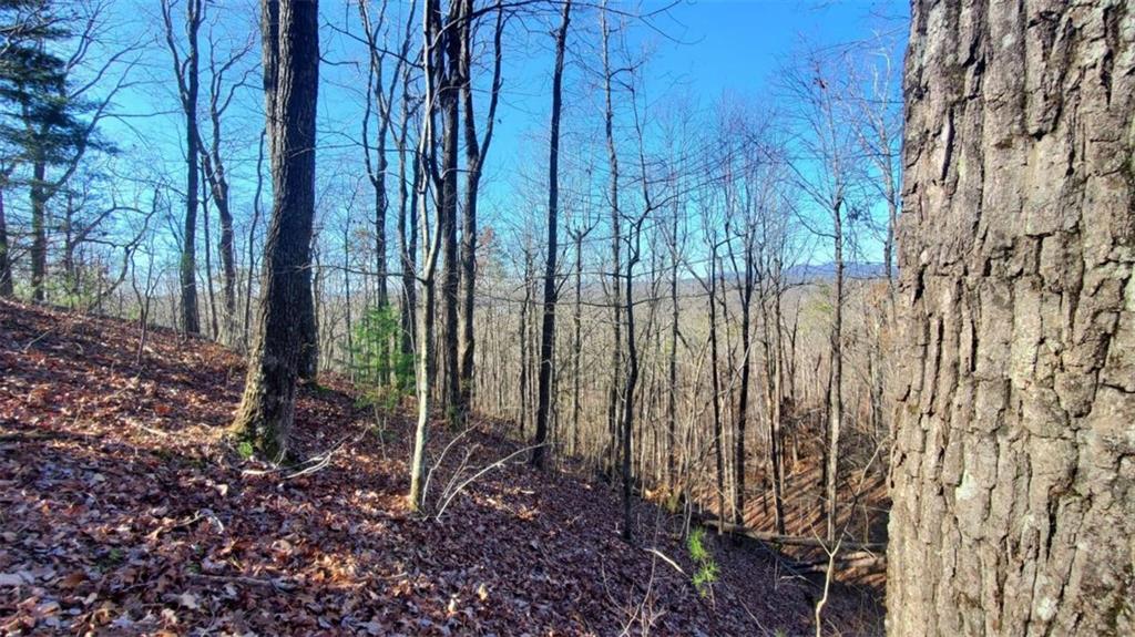 Lt 171 Doll Mountain Road Ellijay GA 30540