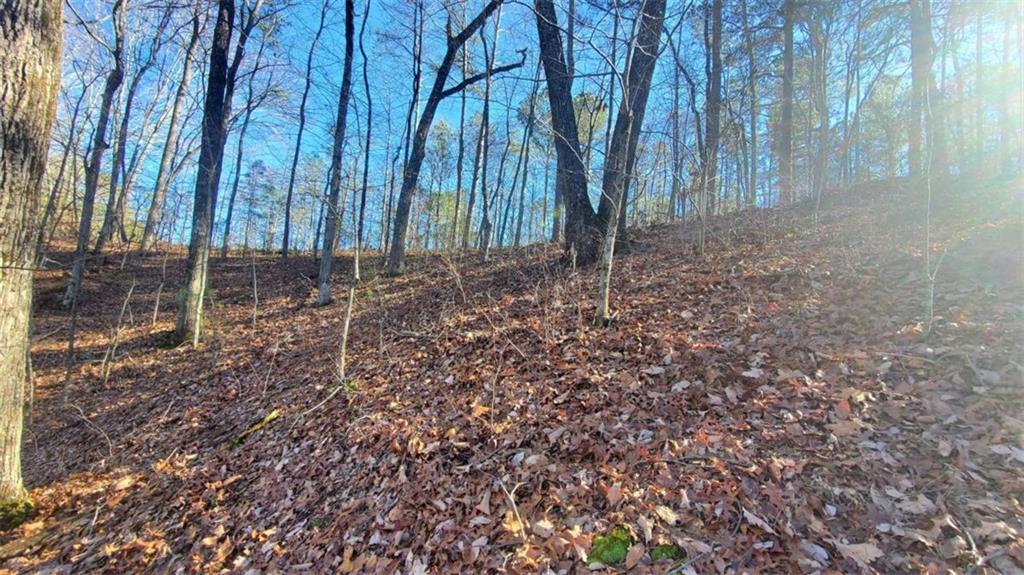 Lt 171 Doll Mountain Road Ellijay GA 30540