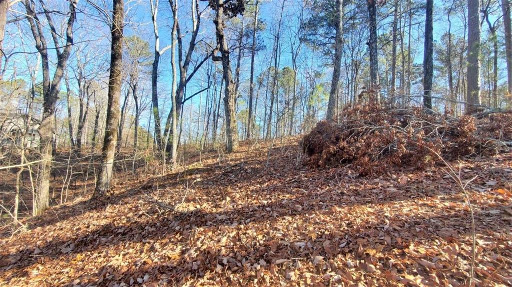 Lt 171 Doll Mountain Road Ellijay GA 30540