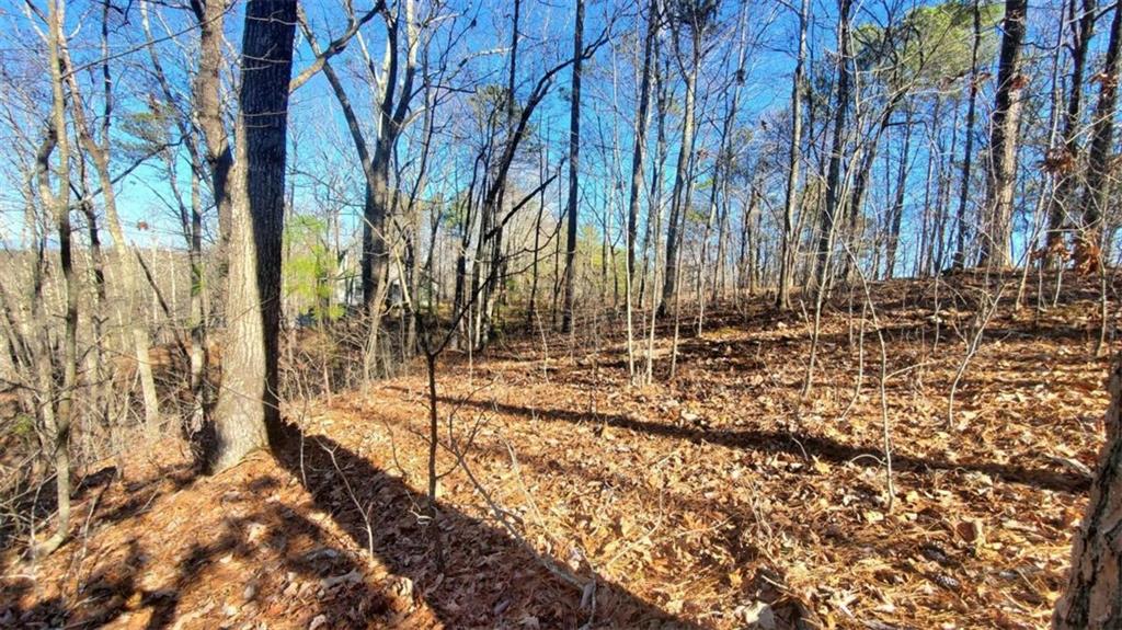 Lt 171 Doll Mountain Road Ellijay GA 30540