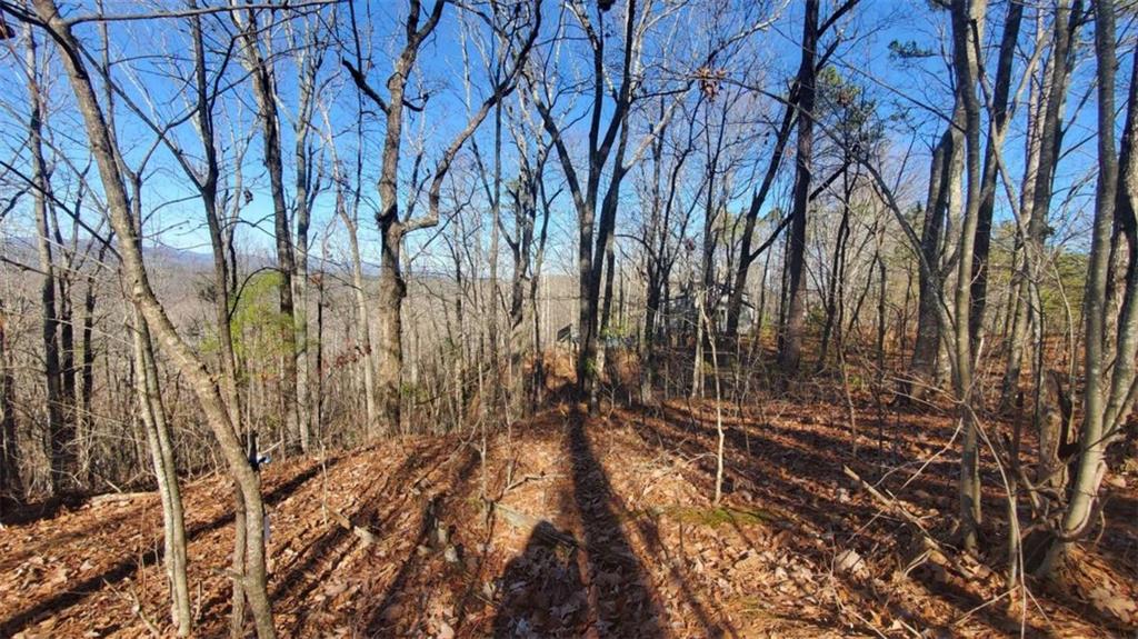 Lt 171 Doll Mountain Road Ellijay GA 30540
