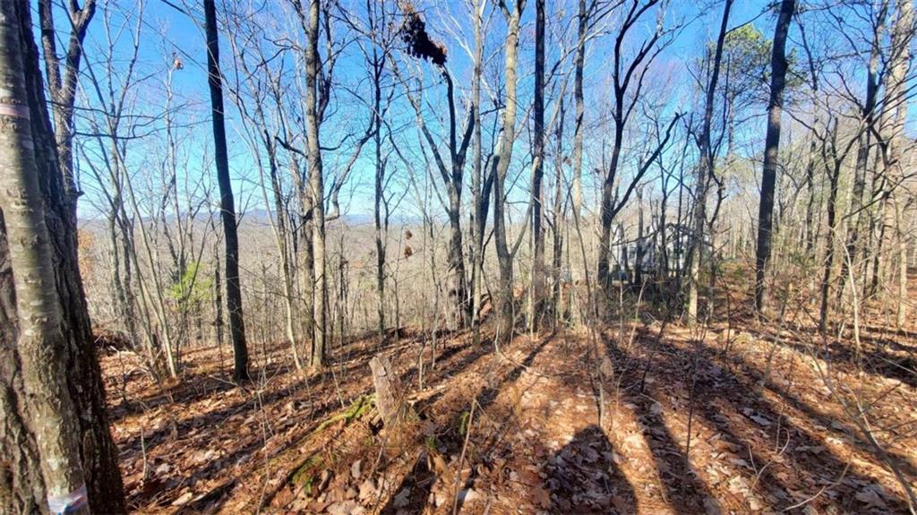 Lt 171 Doll Mountain Road Ellijay GA 30540