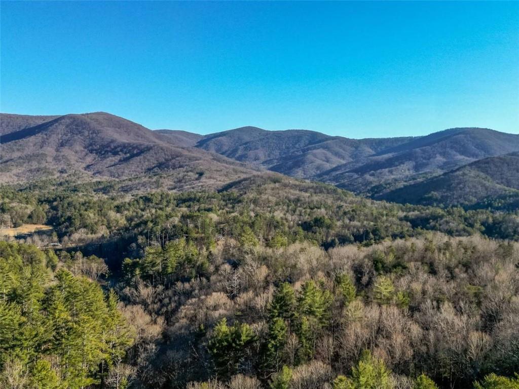 Lt 171 Doll Mountain Road Ellijay GA 30540
