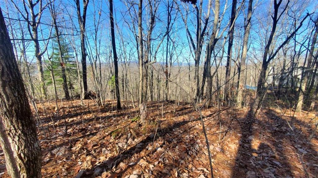 Lt 171 Doll Mountain Road Ellijay GA 30540
