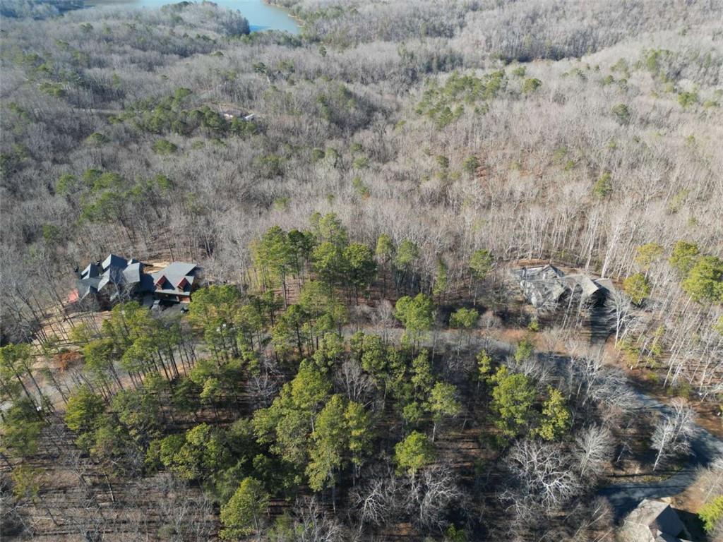 Lt 171 Doll Mountain Road Ellijay GA 30540