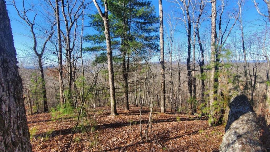 Lt 171 Doll Mountain Road Ellijay GA 30540