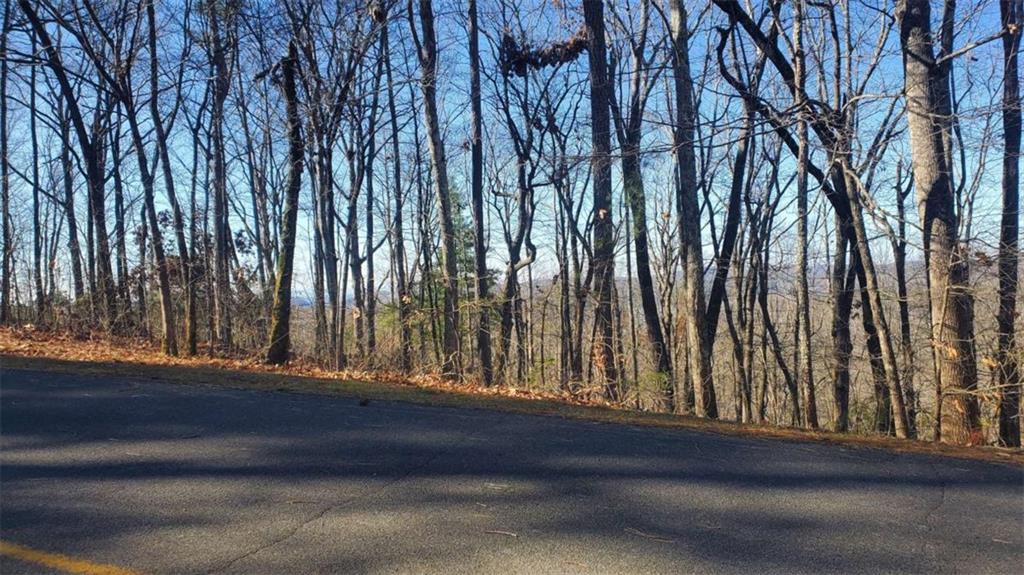 Lt 171 Doll Mountain Road Ellijay GA 30540