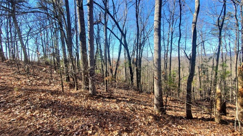 Lt 171 Doll Mountain Road Ellijay GA 30540