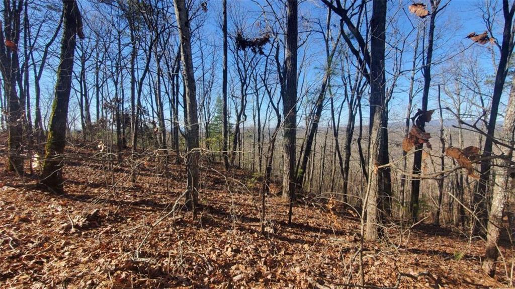 Lt 171 Doll Mountain Road Ellijay GA 30540