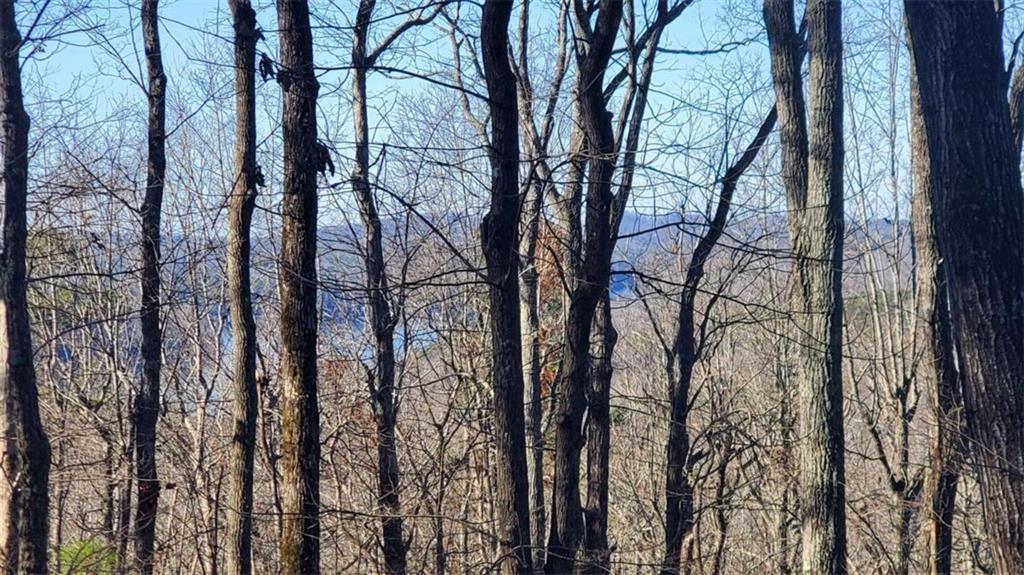 Lt 171 Doll Mountain Road Ellijay GA 30540