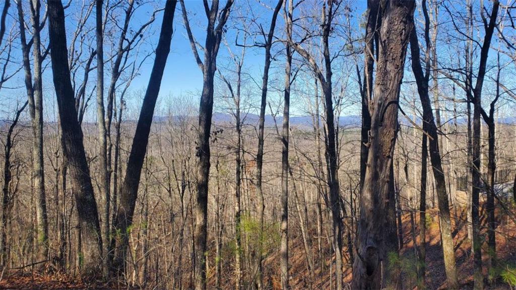 Lt 171 Doll Mountain Road Ellijay GA 30540