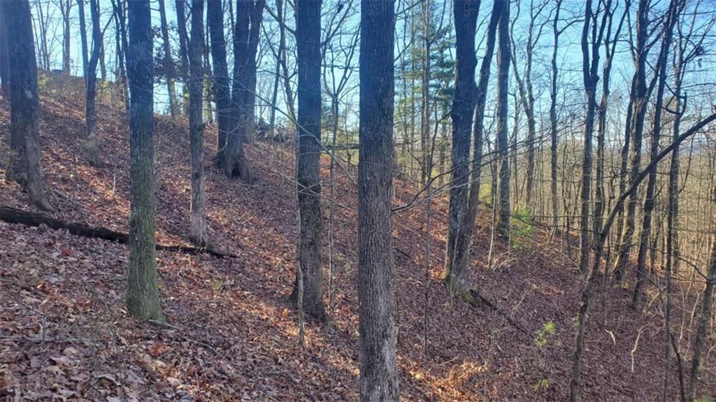 Lt 171 Doll Mountain Road Ellijay GA 30540