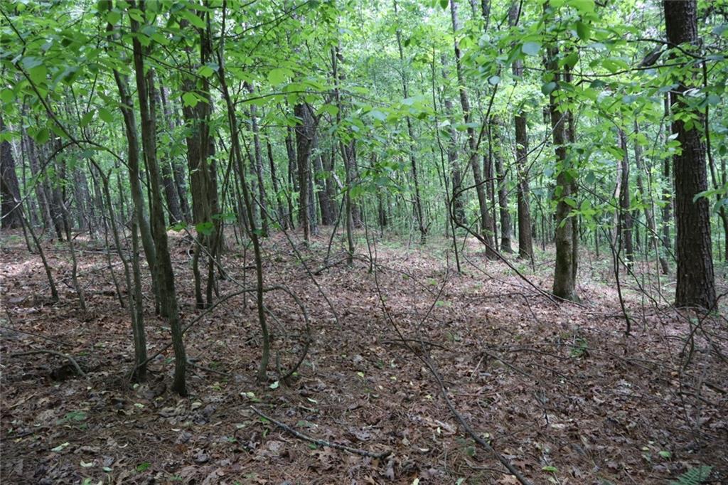 0 Parksbrook Road A Ellijay GA 30540