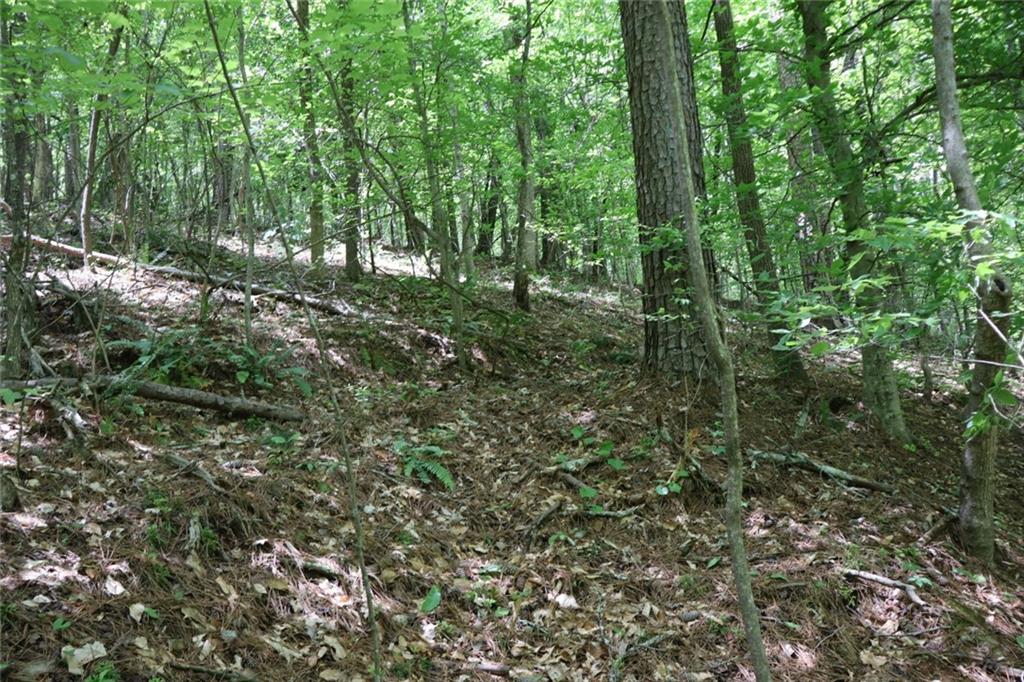 0 Parksbrook Road A Ellijay GA 30540