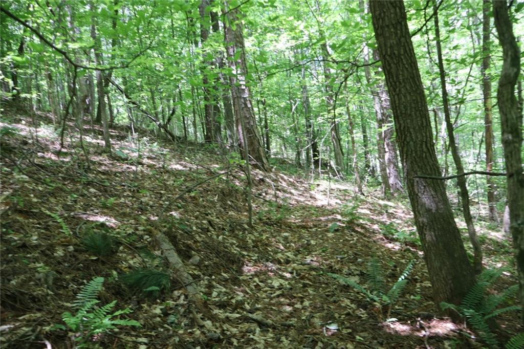 0 Parksbrook Road A Ellijay GA 30540
