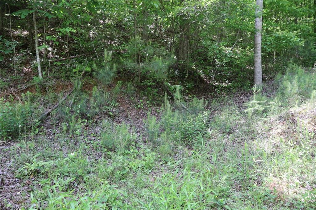 0 Parksbrook Road A Ellijay GA 30540